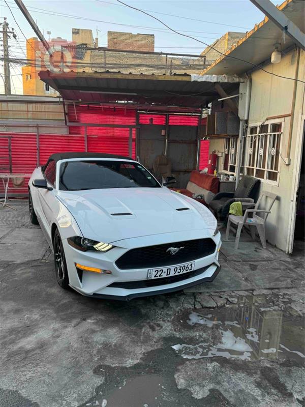 Ford for sale in Iraq